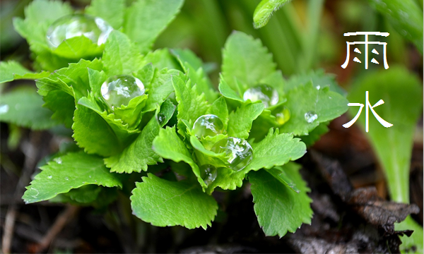 계절의 변화를 세분화한 24 절기 중 '우수' 이해하기