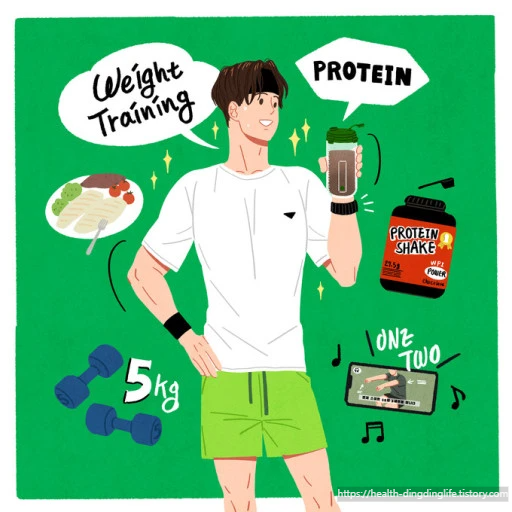 단백질과 운동의 연관성을 나타내는 이미지 입니다.