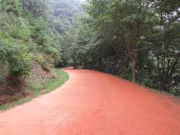 여름에 걷기 좋은 숲길 10