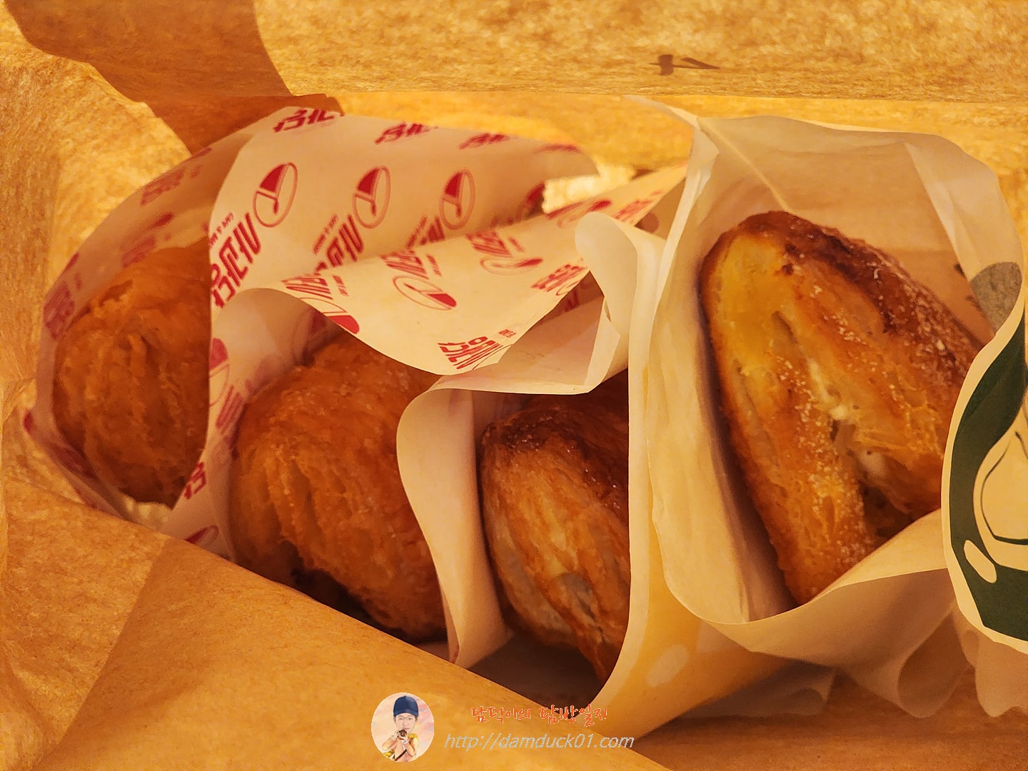 사과당 사과파이