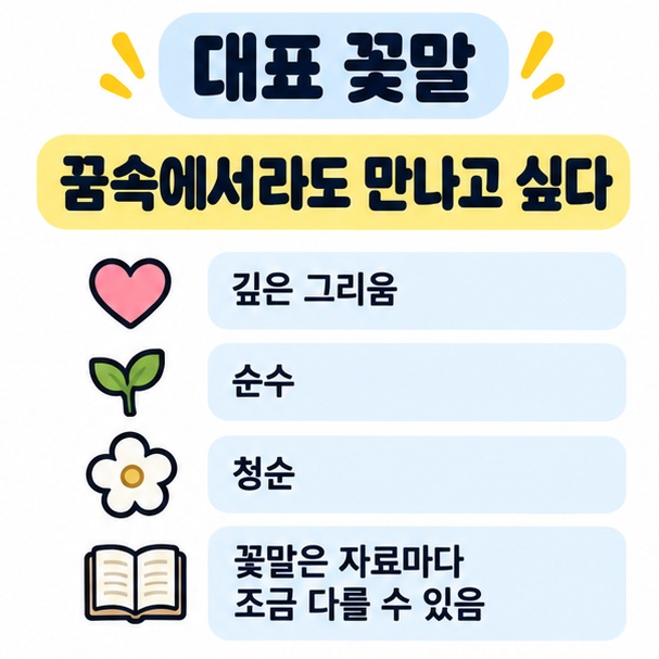 해오라비난초의 대표 꽃말인 꿈속에서라도 만나고 싶다와 함께 순수와 청순의 의미를 정리한 카드