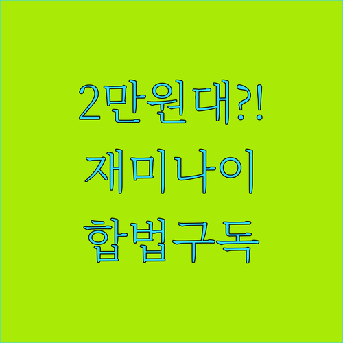 재미나이 프로 1년 2만원대로 쓰는 ..