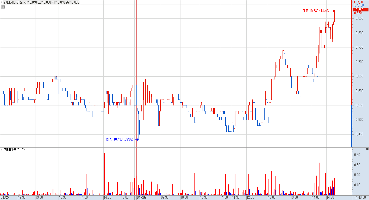 신테카바이오 분봉 차트