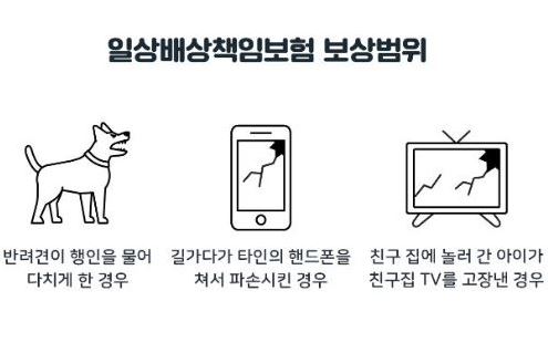 일상생활 배상책임보험 보장 범위