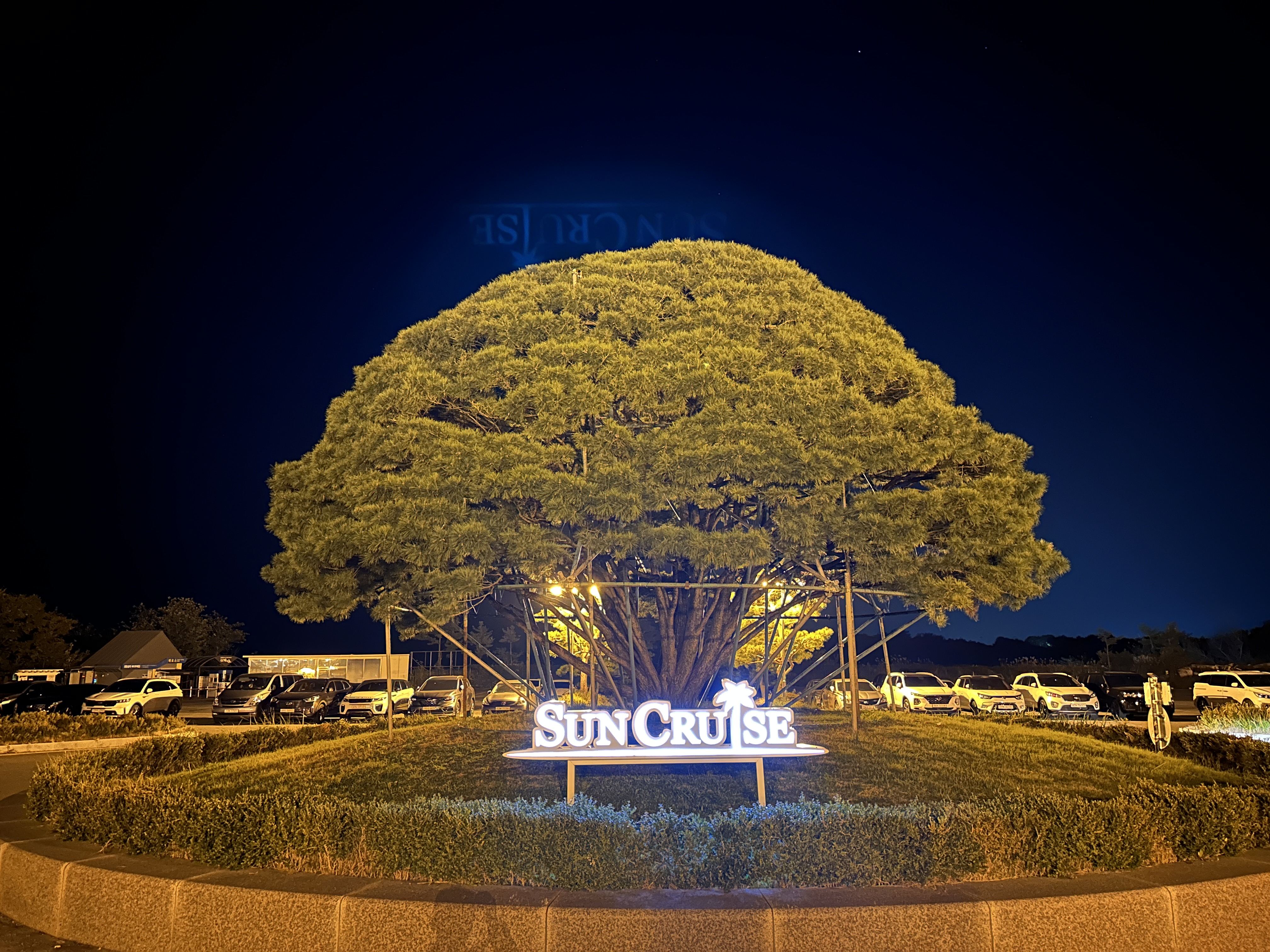 정동진 썬크루즈