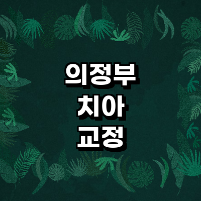 의정부시 교정 치과