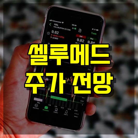 셀루메드 주가 전망