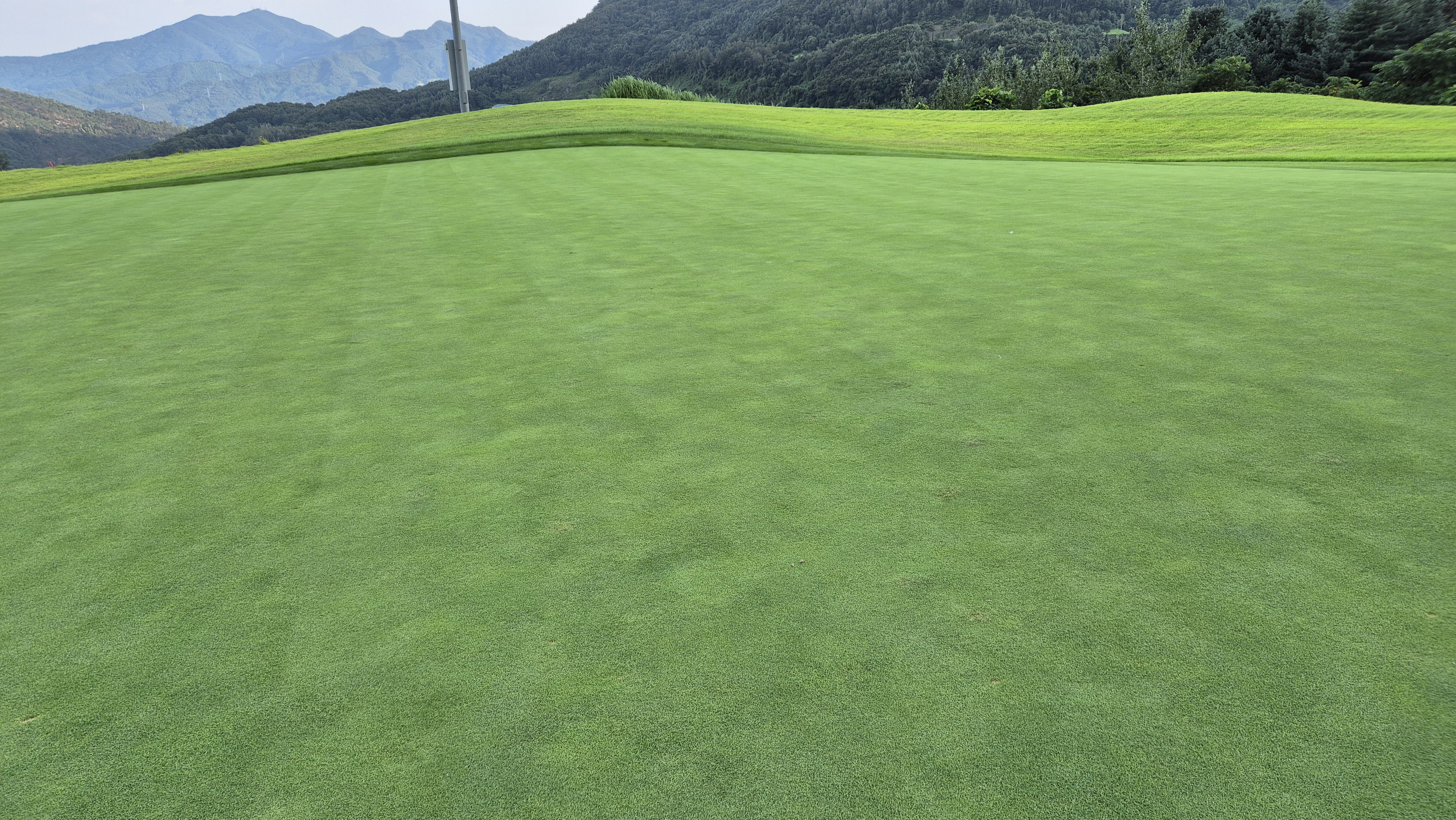 세일cc 들길-산길 코스 라운드 후기