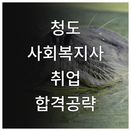 청도군 사회복지사 취업 정보 및 시니..