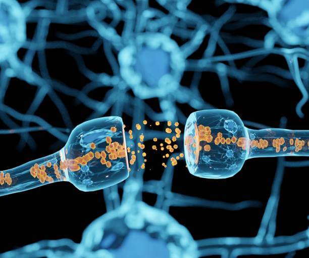 루게릭병 초기증상&amp;#44; 원인과 검사를 알아봤습니다. 다소 생소할 수 있는 루게릭병은 어떤 기원이였고 어떤 증상들이 있는지 천천히 읽어 보시기 바랍니다. 