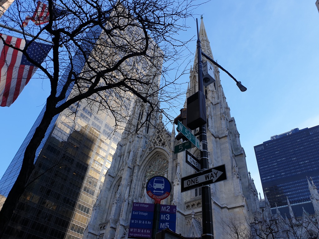 세인트 패트릭 대성당(St. Patrick's Cathedral)
