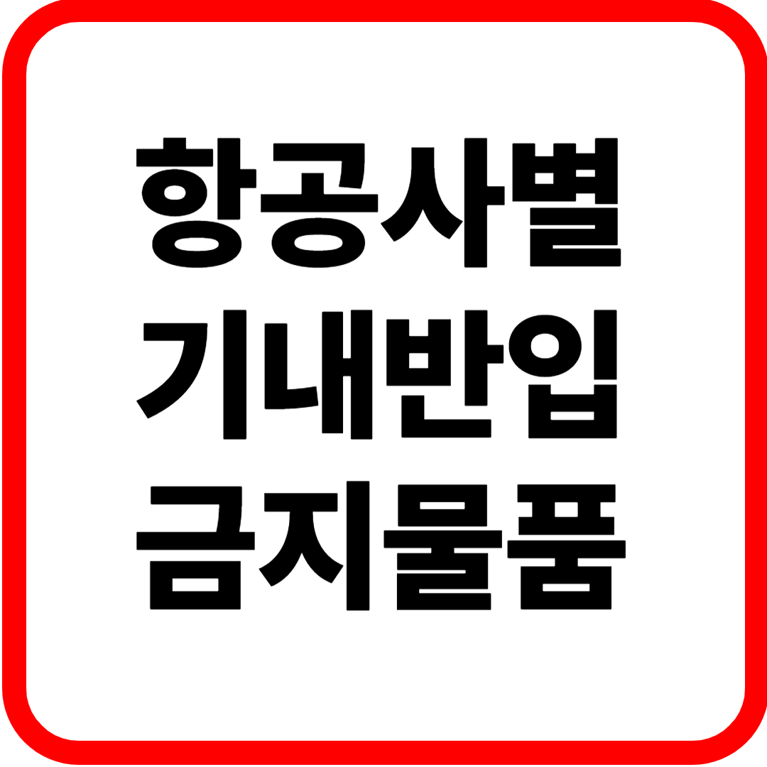 항공사별 기내반입금지물품 비교