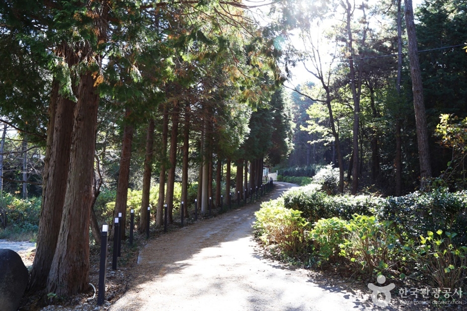 경남 고성 가볼만한곳 베스트10