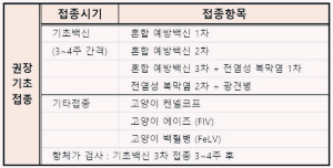 고양이 예방접종 종류와 접종 후 주의사항 전연령 기본관리법 총정리
