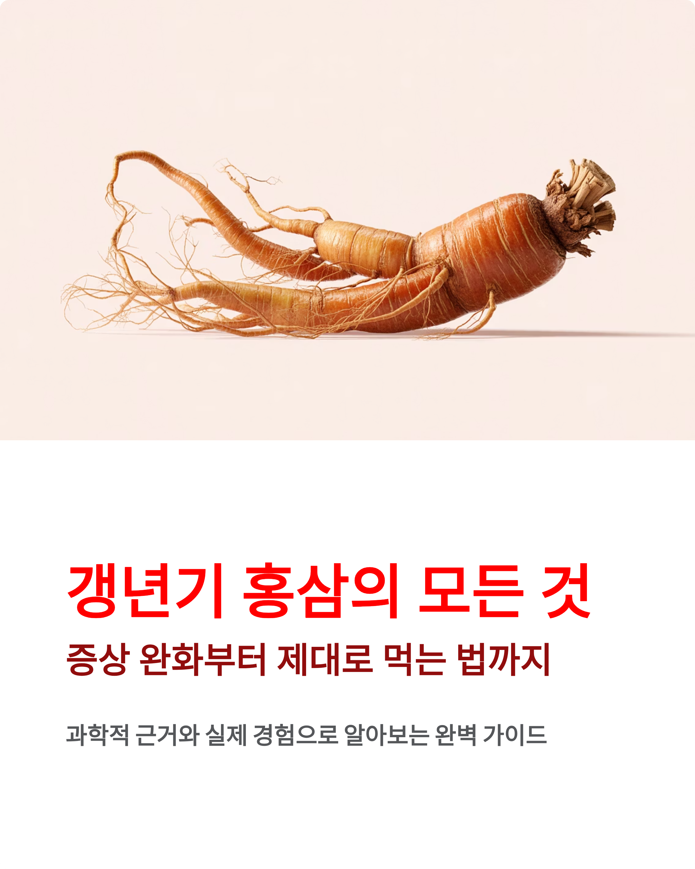 갱년기 홍삼 효능 완벽 가이드 ❘ 증상 완화부터 제대로 먹는 법까지