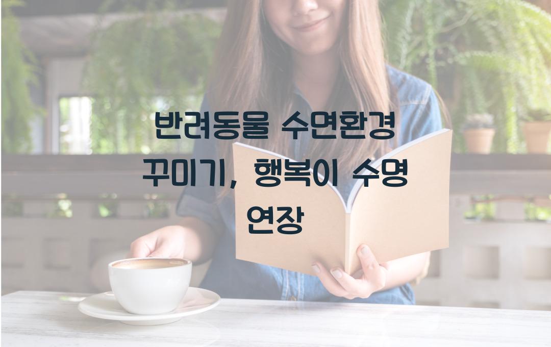 반려동물 수면환경 꾸미기, 편안함이 수명 연장!