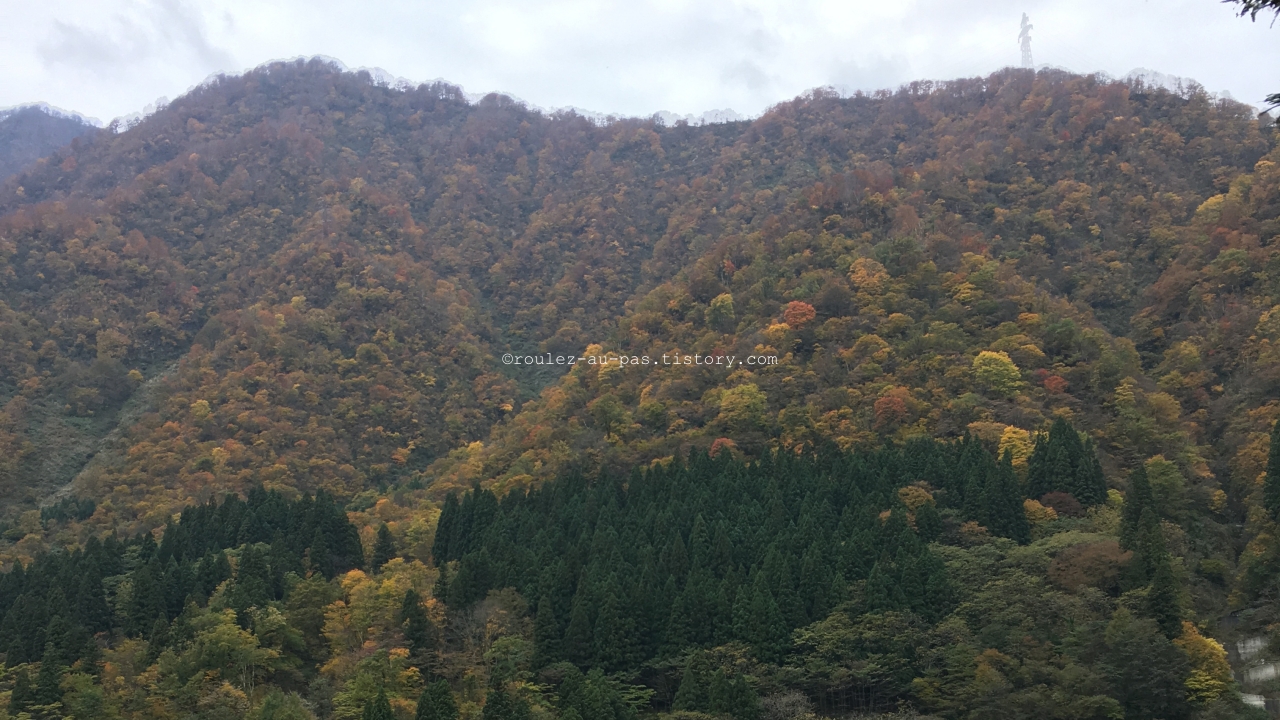 JAPAN-TRAVEL-TOYAMA-KUROBE GORGE-MOUNTAINS COLORED W AUTUMN LEAVES