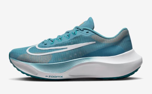 입문용 러닝화(런닝화) 추천 비교 - 나이키 줌플라이5