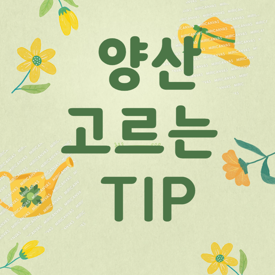 양산 고르는 법