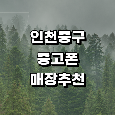 인천 중구 중고폰