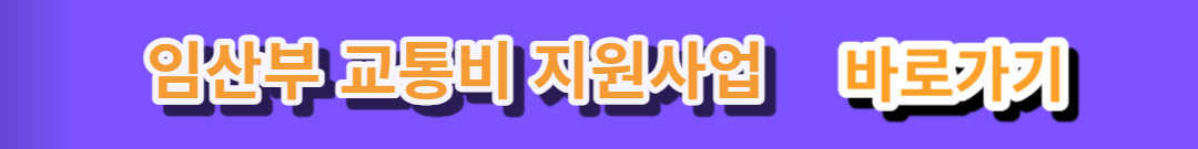 임산부 교통비 지원사업