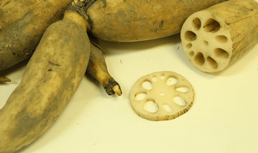 구내염에 좋은 음식 연근