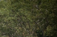 통행료 면제 기간 방문 명소 추천