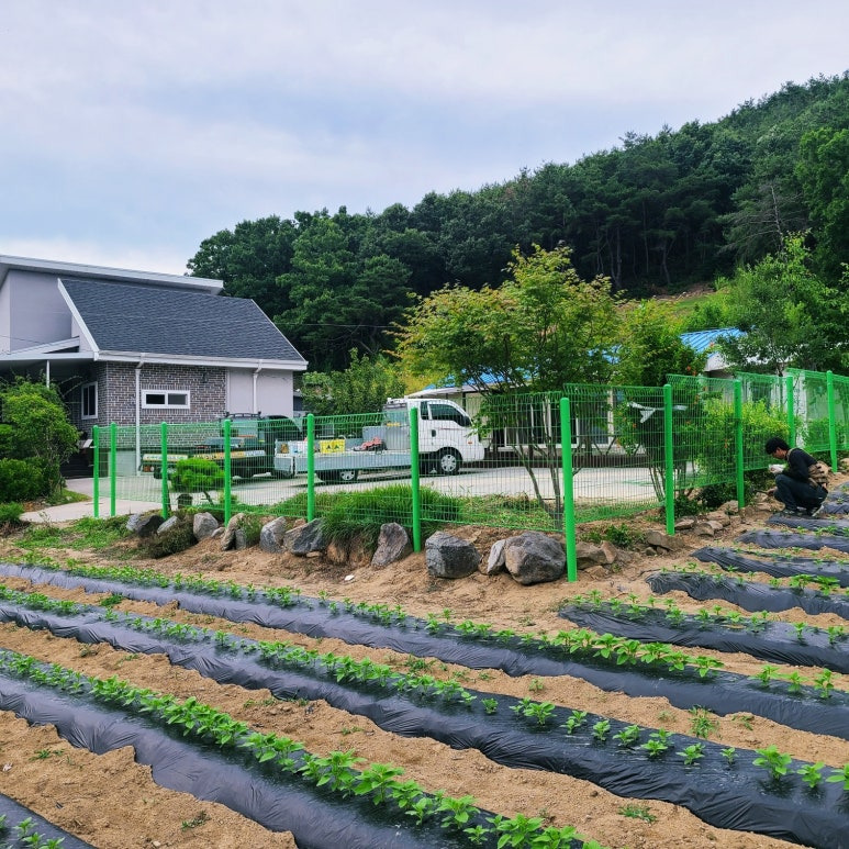 전원주택 울타리 구미, 김천, 왜관, 칠곡 휀스시공