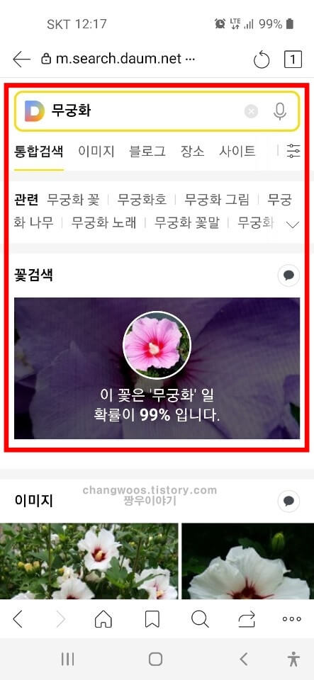 다음 꽃검색 결과