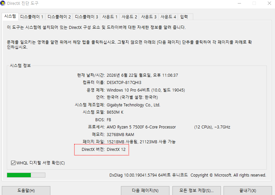 dxdiag에서 DirectX 버전과 그래픽카드 기능 수준을 확인하는 화면