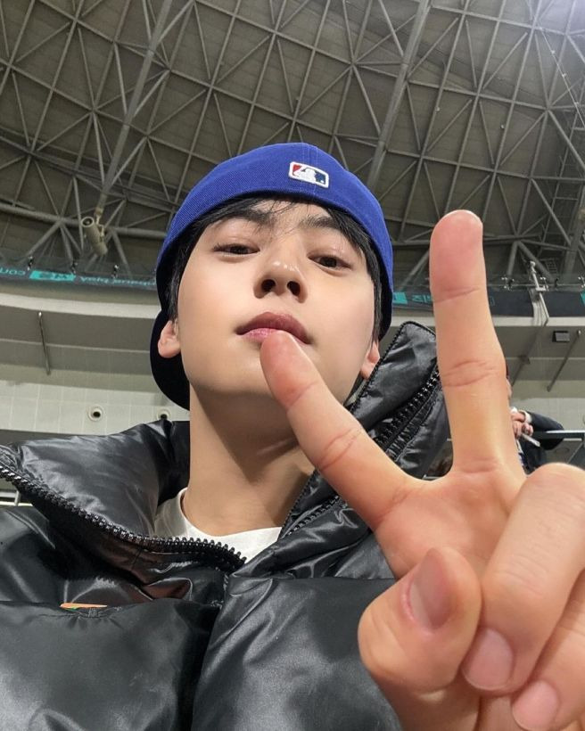 차은우 조세심판원 청구 승소 확률과 행정소송 3대 시나리오 정밀 예측, 낸 돈 130억 다시 돌려받을까?