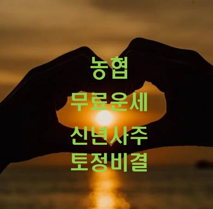 농협 무료운세 신년사주 정통운세 정보