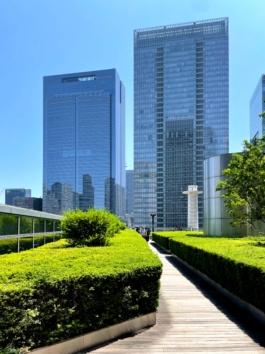 도쿄역 킷테 마루노우치 타워 킷테 정원에서 본 전경