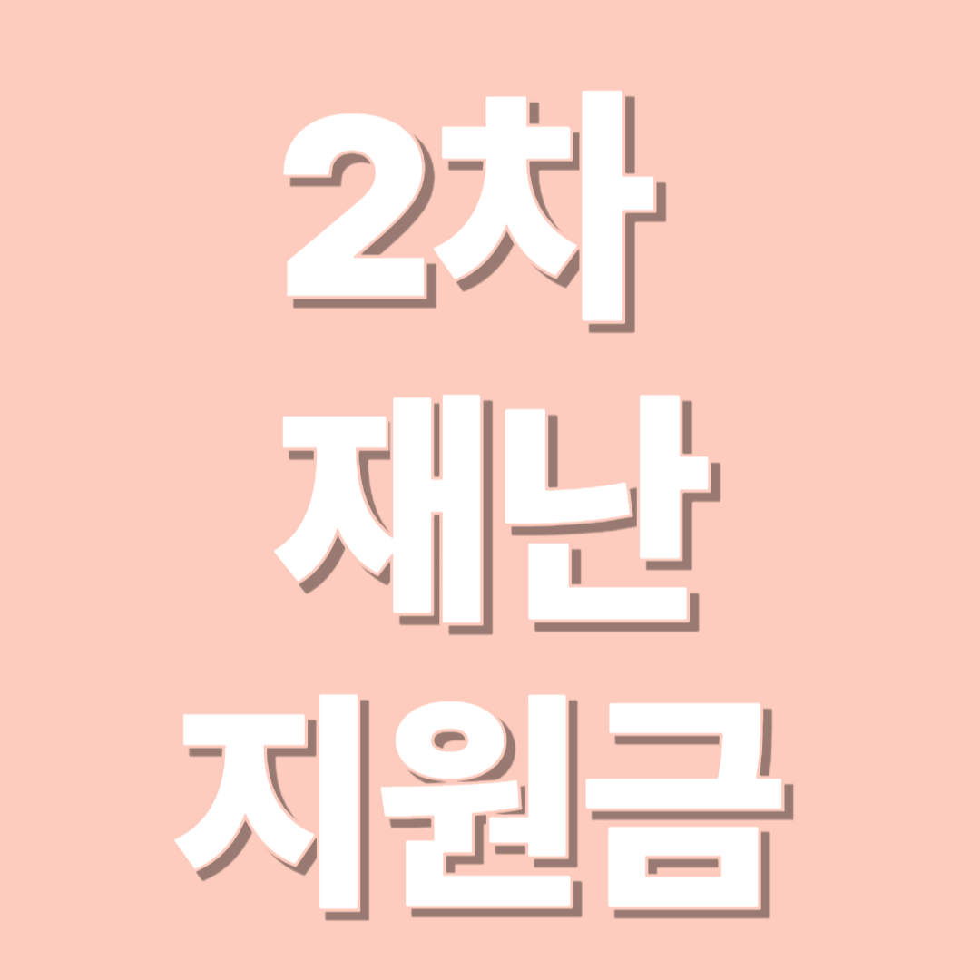 민생지원금 2차 기준