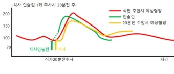 식후 혈당 정상수치를 정리_16