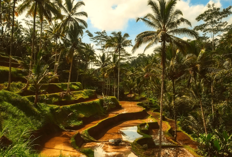 발리 8월 날씨와 옷차림