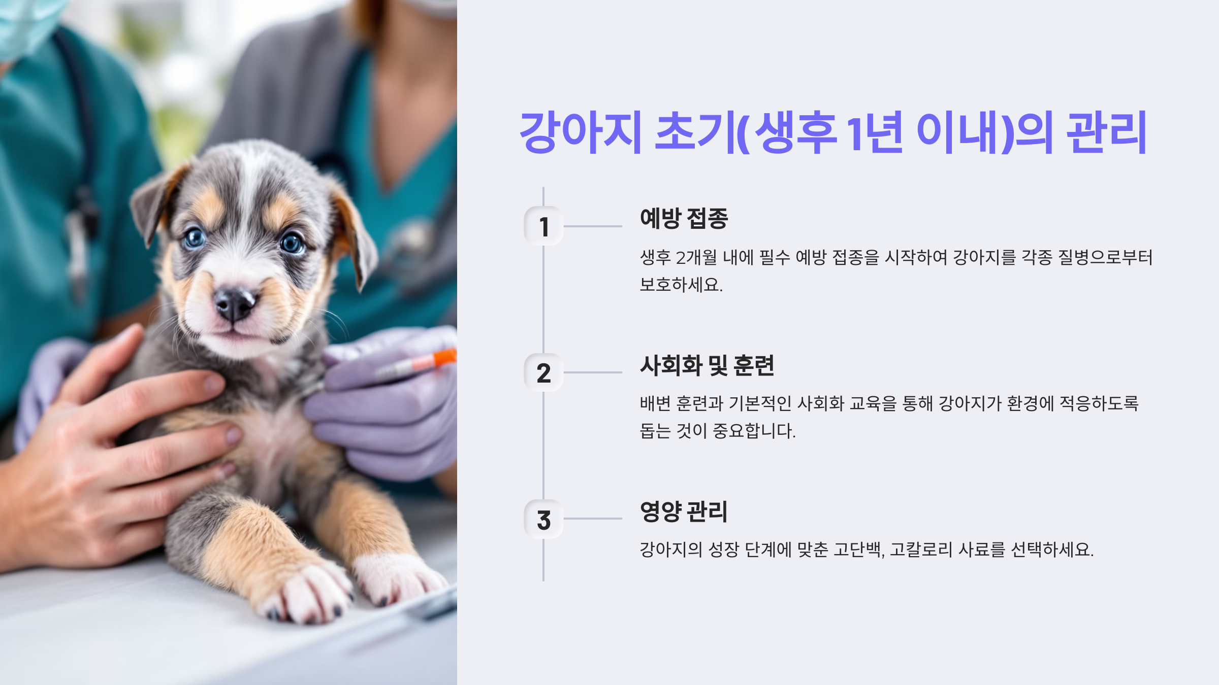 강아지 초기(생후 1년 이내)의 관리