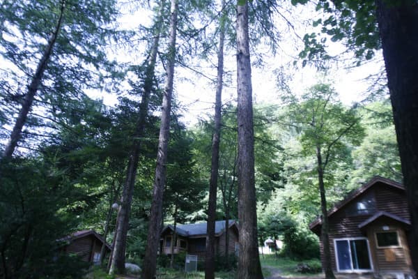 국립자연휴양림 성수기 예약