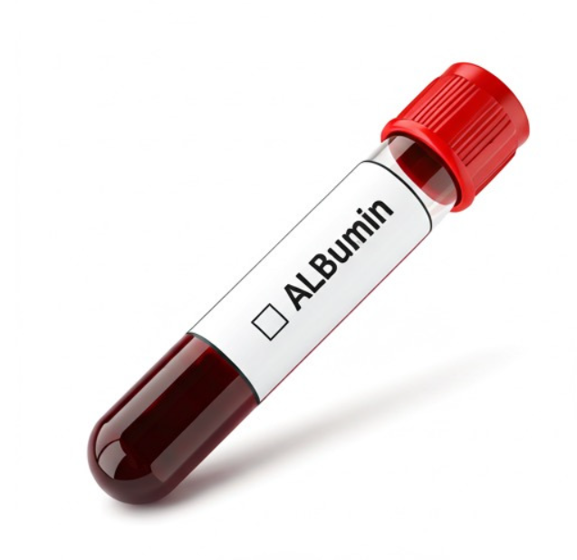 알부민 복용시간