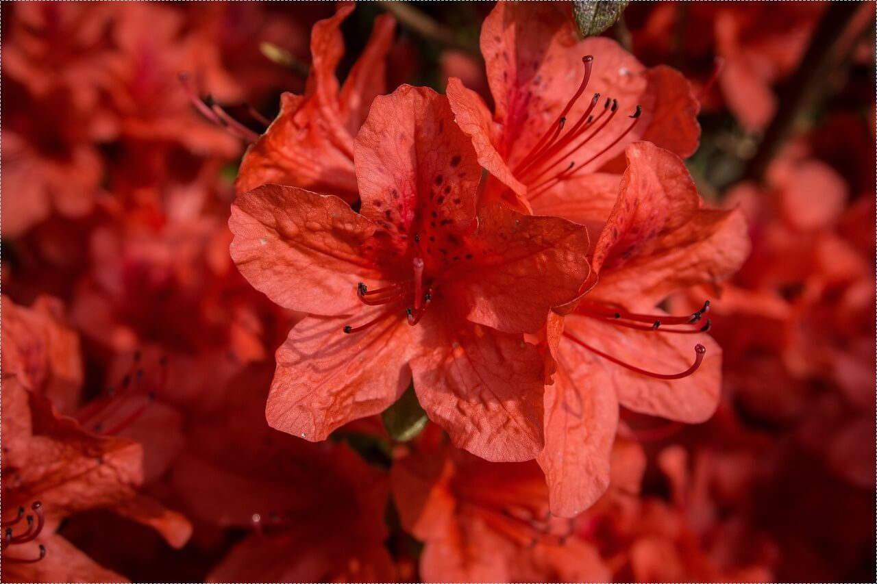 우체국 적금 금리