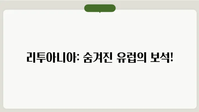 리투아니아의 전통 문화