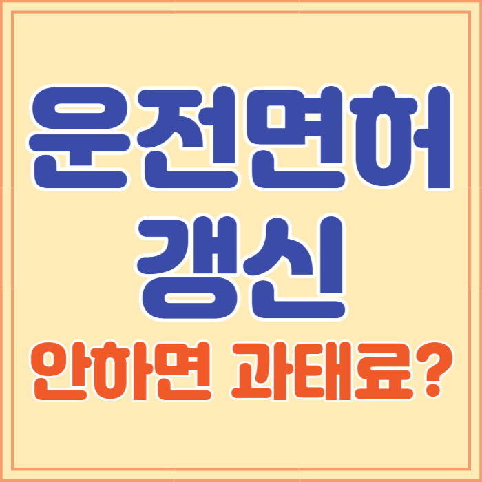 운전면허증 갱신 준비물, 과태료