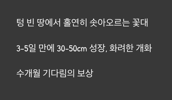 기다림 끝의 감동, 홀연히 피어나는 꽃