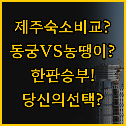 제주 시내 숙소 비교 동궁모텔 vs ..
