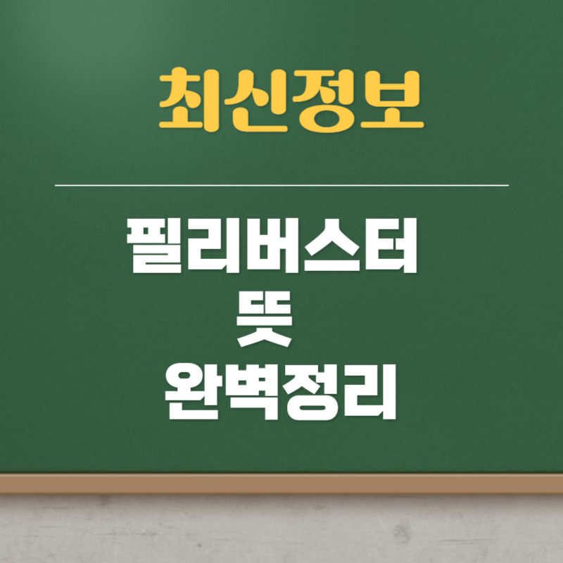 필리버스터 뜻