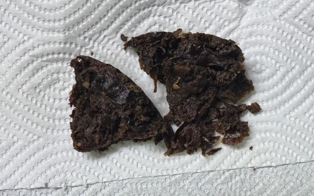 [내돈내산] 가성비와 디자인 모두를 잡은 음식물 처리기로 여름에도 걱정 No&amp;#44; 아이닉 iFD01