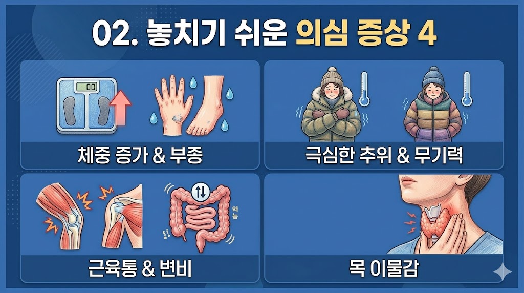 중 증가, 추위 민감증, 근육통 및 변비, 목 이물감 등 하시모토병의 4가지 주요 증상을 나타낸 일러스트