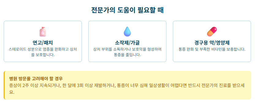 입안이 헐었을 때 영양소, 부드러운 음식, 자극적인 음식, 입안이 허는 이유와 치료 방법