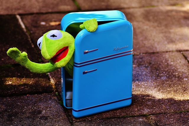 kermit-fridge