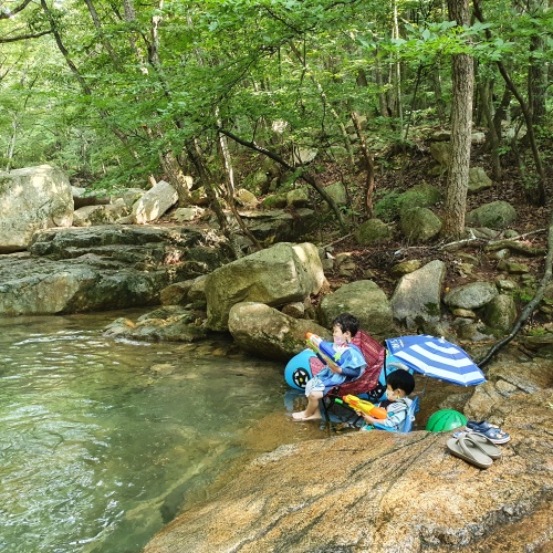 곡성_도림사계곡